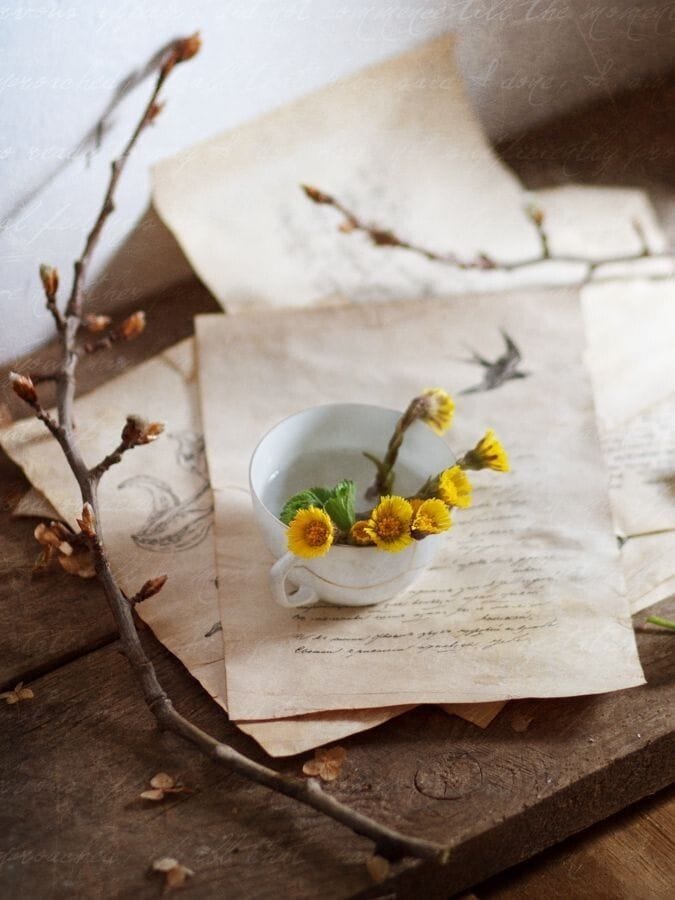 And under my window, the chestnuts have turned brown