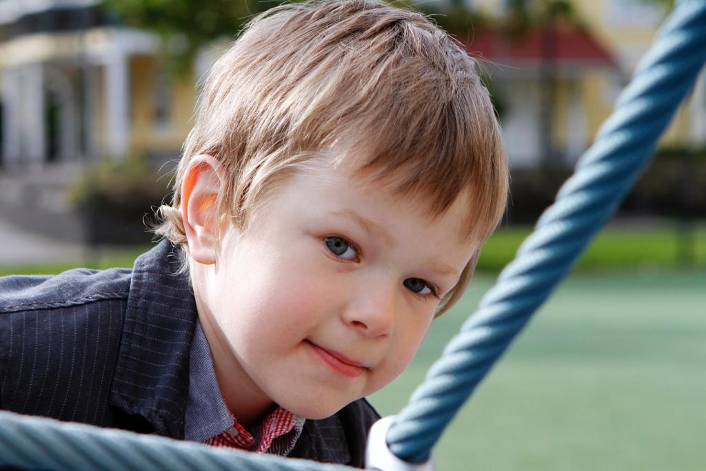 The Logic of Statements